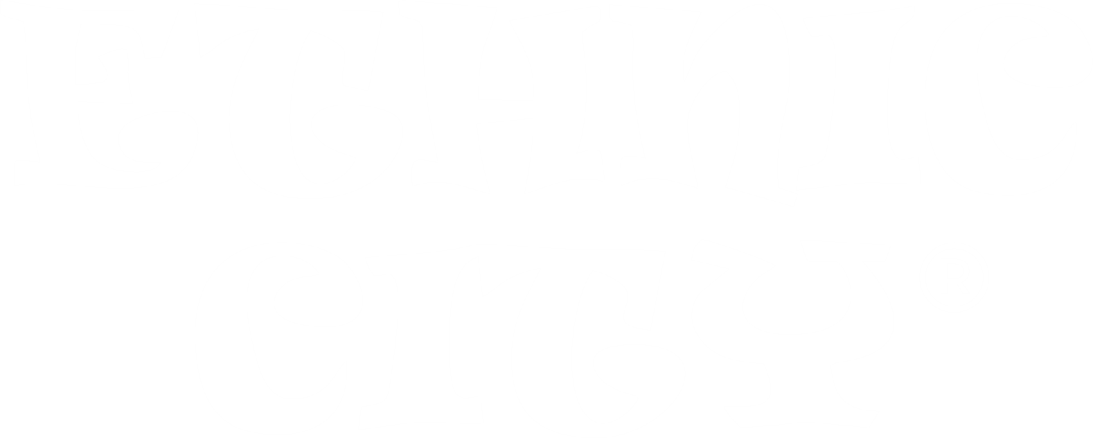 Ethnic City logo